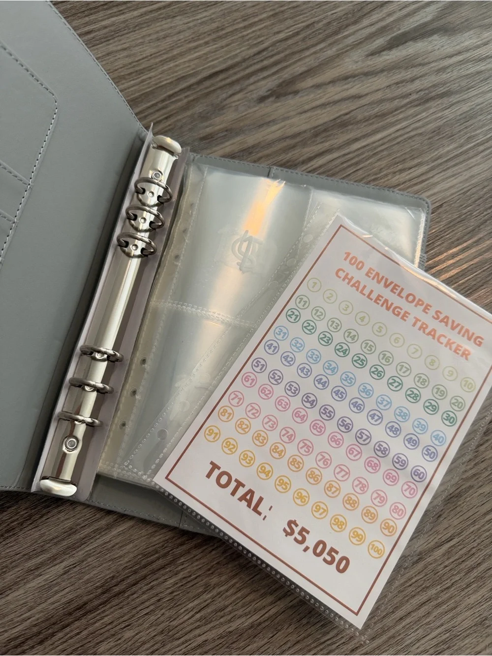 100 Envelope Savings Challenge Booklet